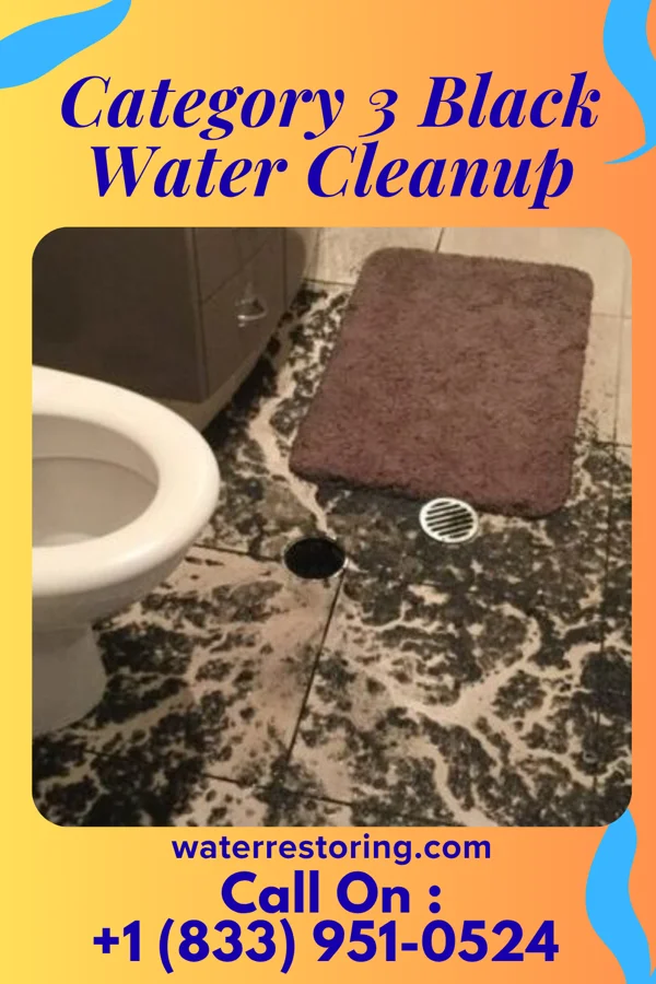 Category 3 Black Water Cleanup in College Place, WA