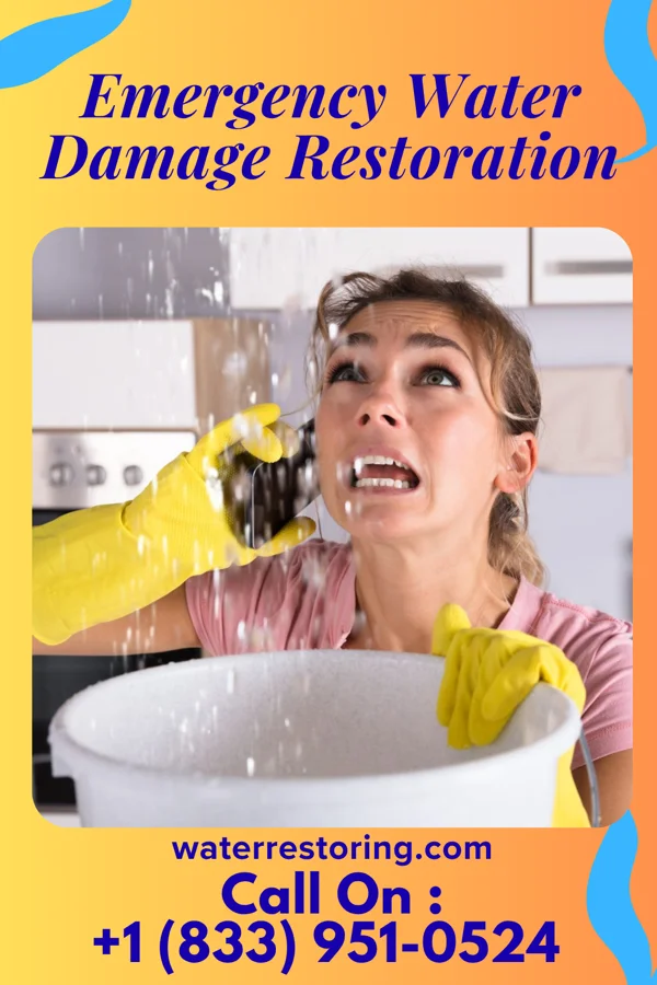 Emergency Water Damage Restoration in College Place, WA