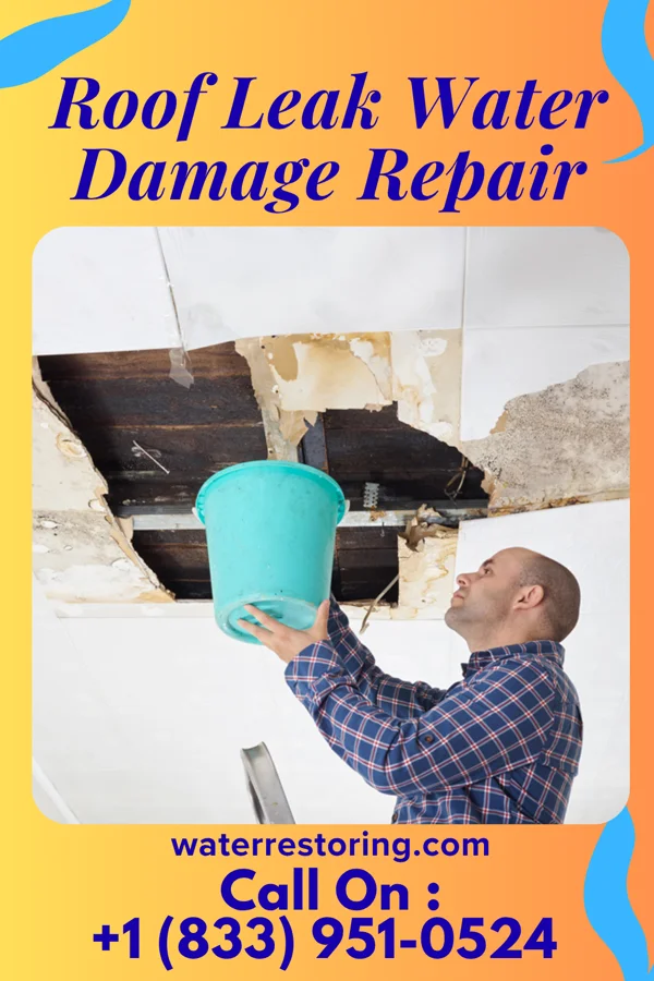 Roof Leak Water Damage Repair in College Place, WA
