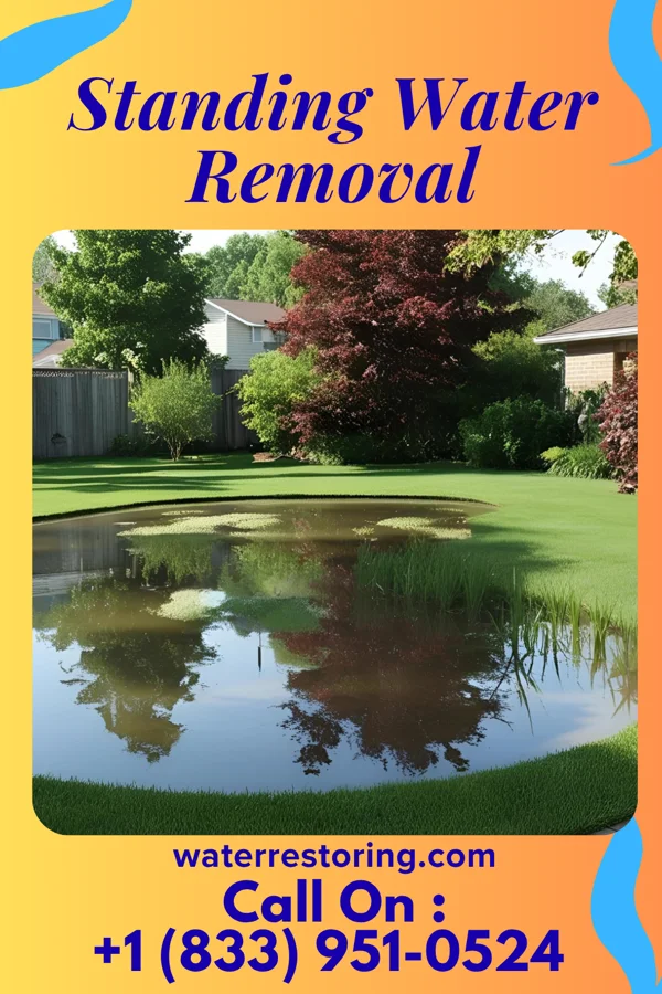 Standing Water Removal in College Place, WA